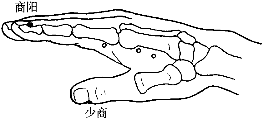 第十六節(jié) 感冒